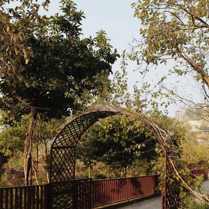 Photo of Others in Tam Dao