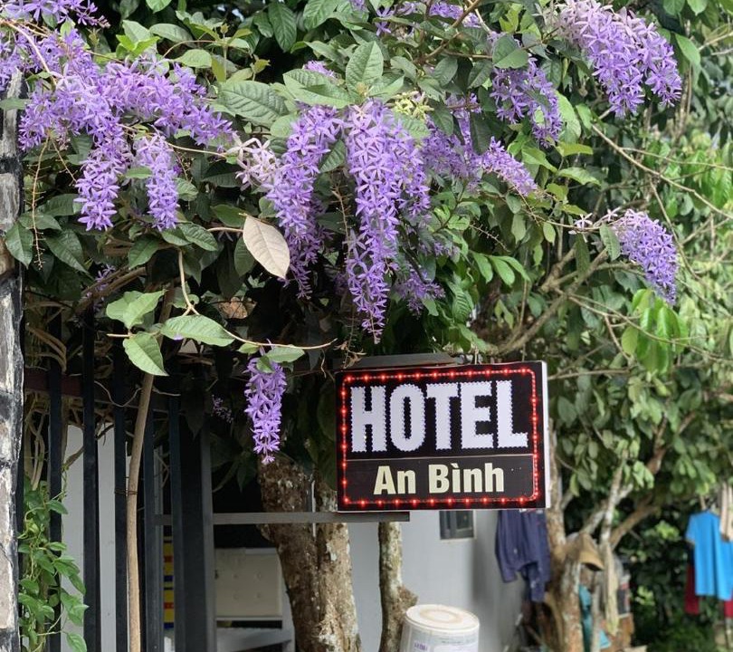Photo of Others in Long Thanh