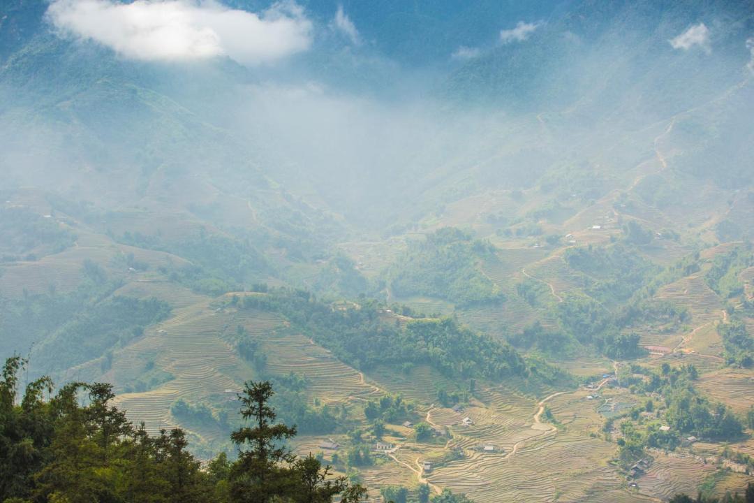 Photo of Others in Sa Pa