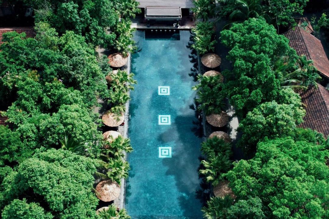Photo of Others in Thuy Xuan
