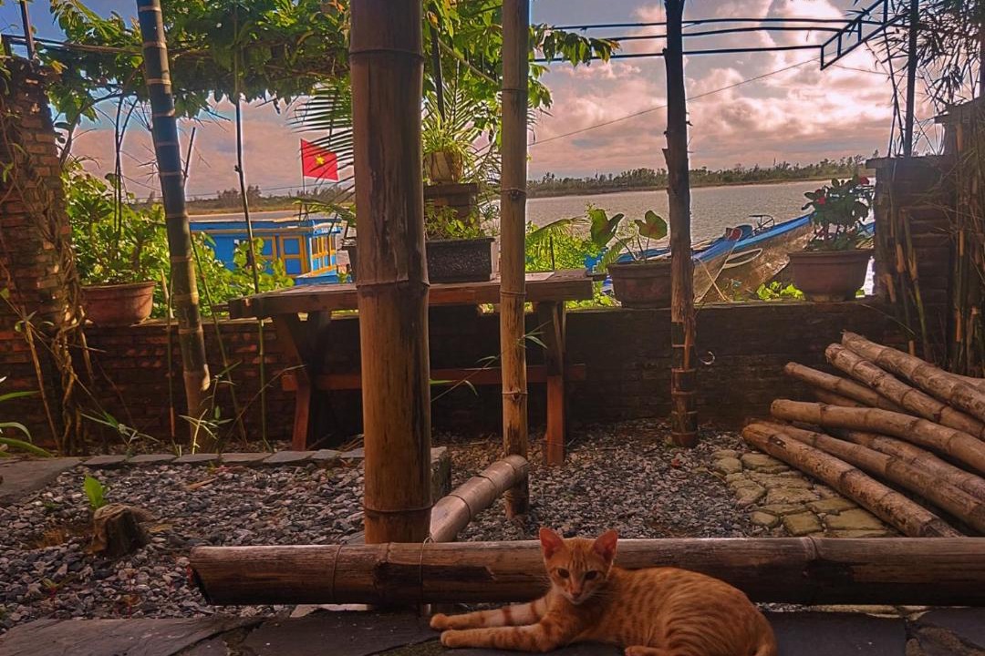 Photo of Others in Hoi An