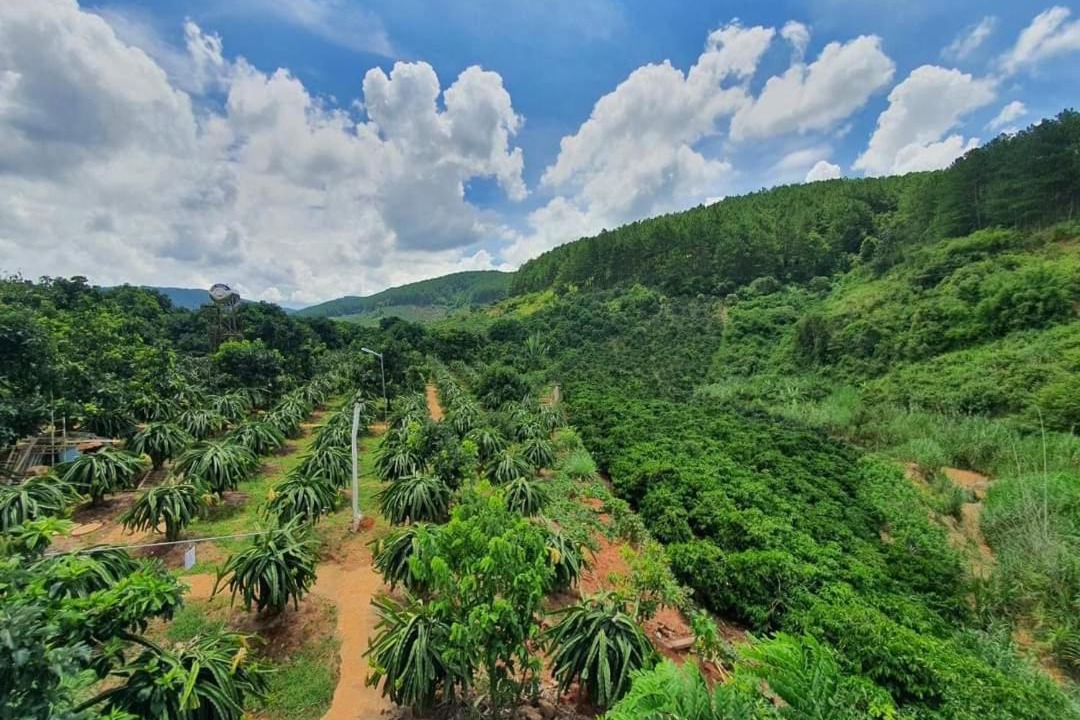 Photo of Others in Da Lat