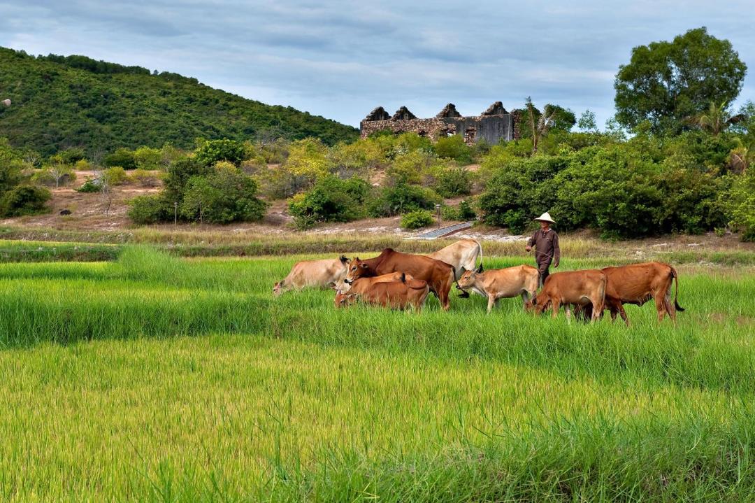 Photo of Others in Xuan Canh