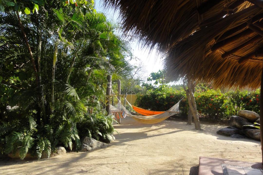 Photo of Others in Troncones