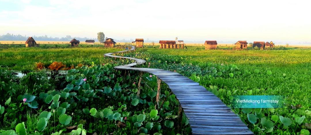 Photo of Others in Tam Nong