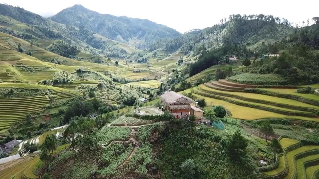 Photo of Others in Mu Cang Chai