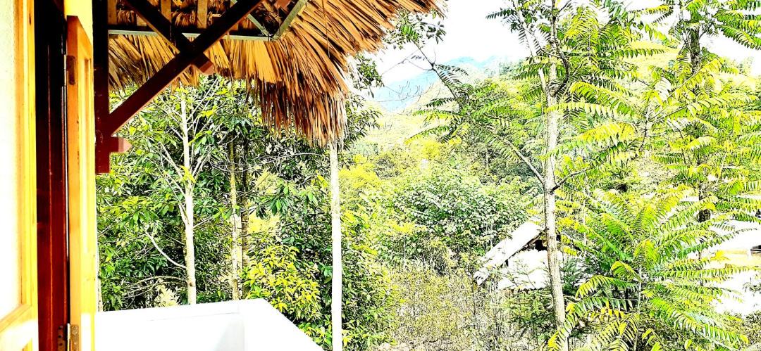 Photo of Others in Bac Ha