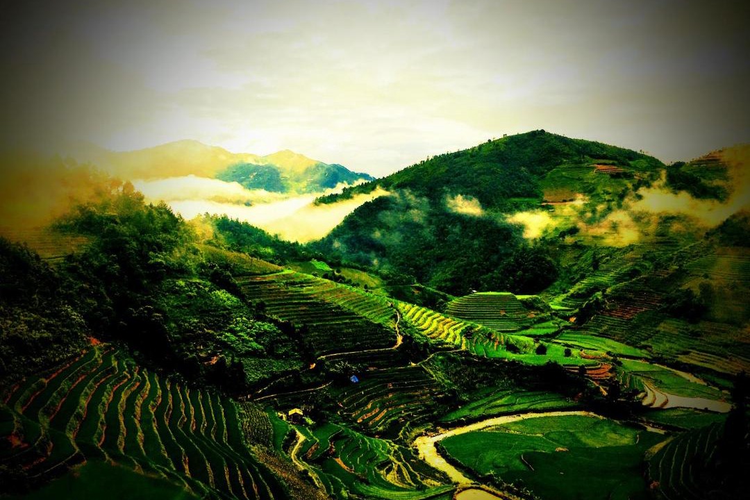 Photo of Others in Mu Cang Chai