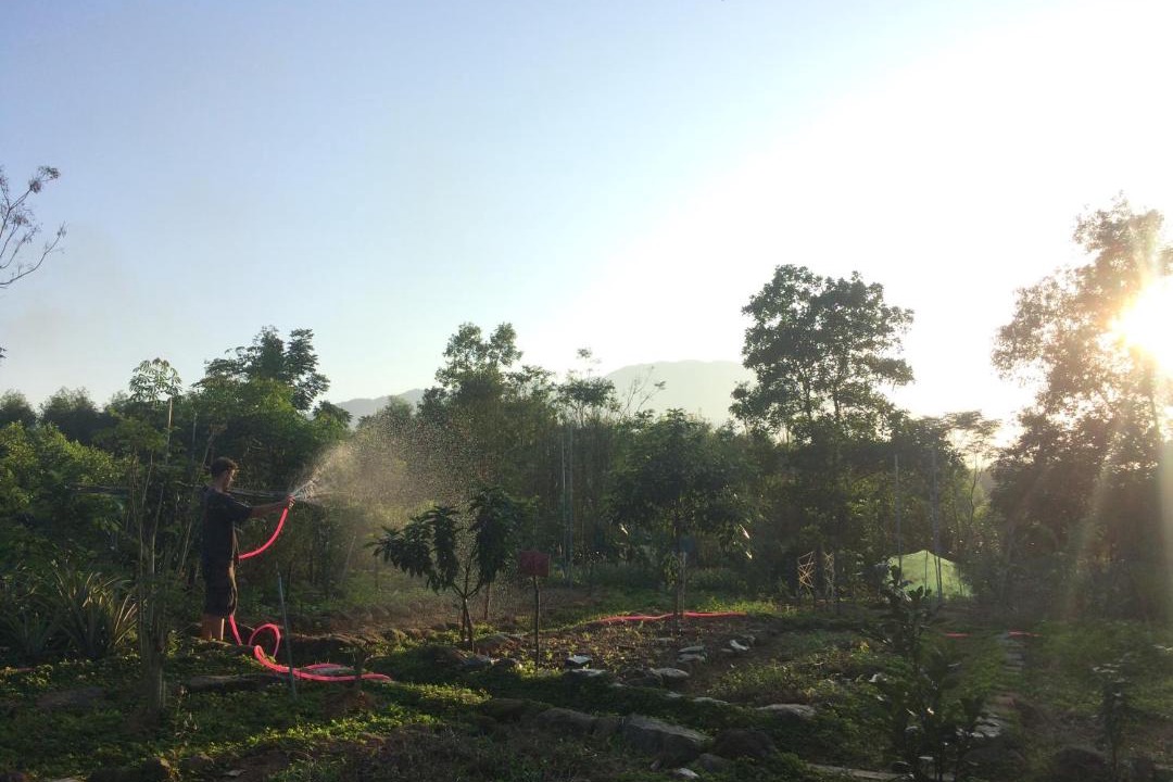 Photo of Others in Phu Loc