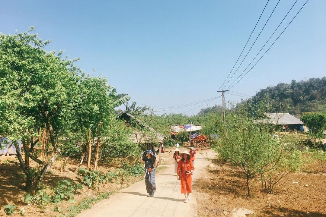 Photo of Others in Moc Chau