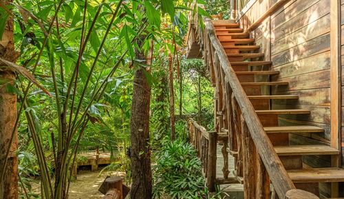 Premium Jungle Bungalow King
