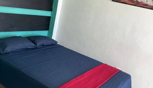 Single Room, Non Smoking, Pets Allowed