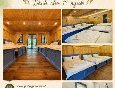 10-Bed Mixed Dormitory Room