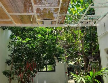 Family Studio