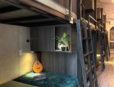 Bunk Bed in Mixed Dormitory Room