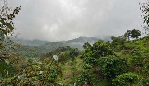 Double Room with Mountain View