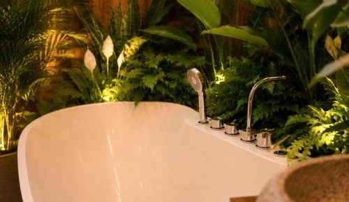 One-Bedroom Apartment with Spa Bath