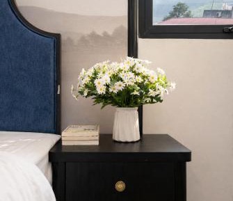 Superior Double or Twin Room with City View