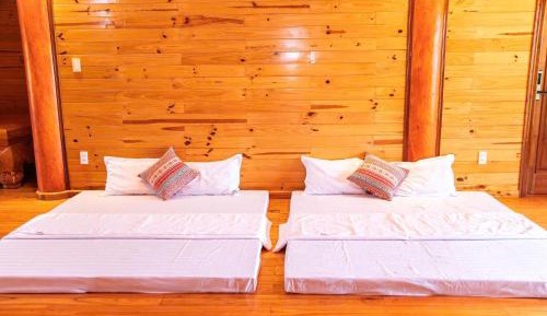 Mixed Dormitory Room