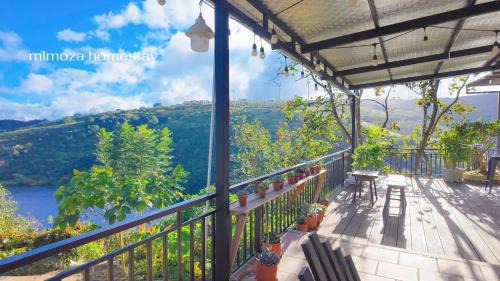 Family Suite with Balcony