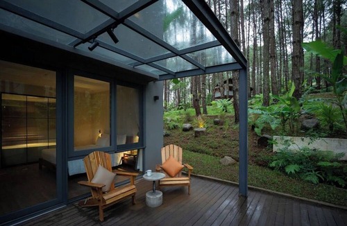 Da Lat Resort | Mơ Stay Forest Resort