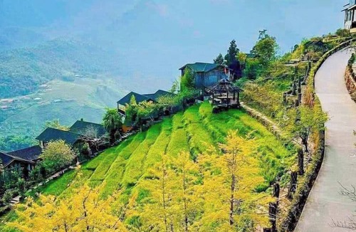 Cat Cat Village Resort | Sapa Cat Cat Hills Resort & Spa