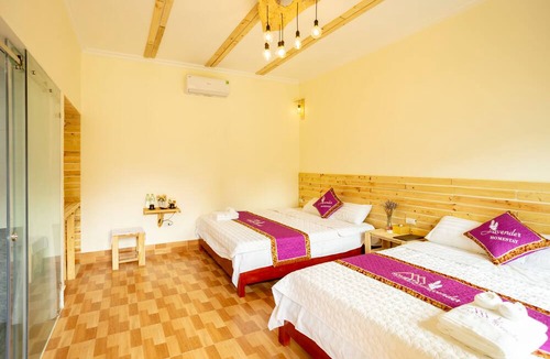 Hoa Lu Hotel | Tam Coc Lavender Homestay