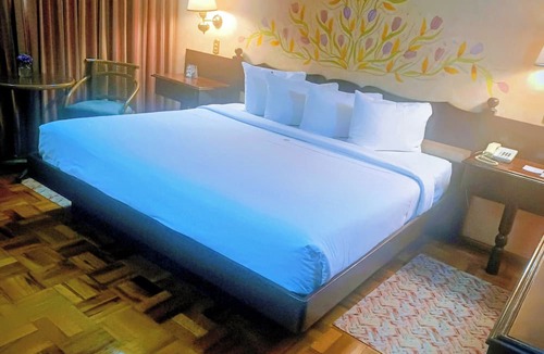 San Miguel Chapultepec Hotel | Hotel Park Villa