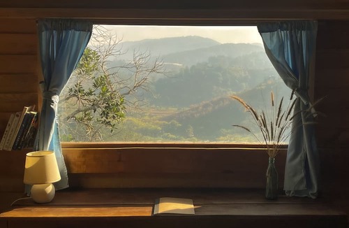 Lam Ha Other | Midori Coffee Farm