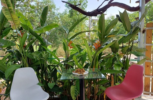Ganh Dau Villa | Lucky Home - Boutique Tropical Hideaway
