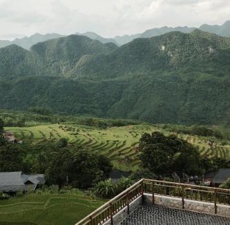 Pu Long Nature Reserve Hotel | JARDIN de PULUONG