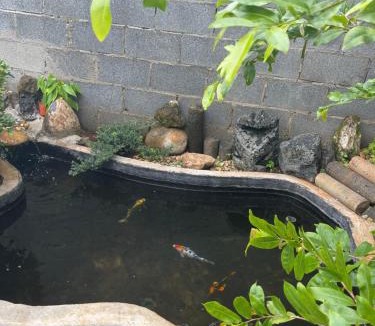 Buon Ma Thuot Hotel | Ako BM homestay
