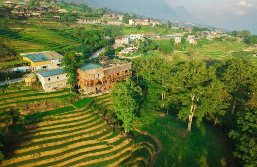 Hau Thao Hotel | MT Homestay Terraced Fields - Sa Pa Trekking Tour Tả Van