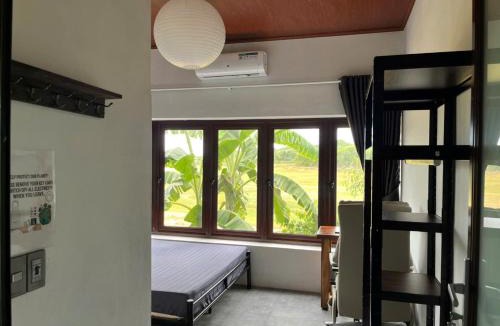 Son Trach House | Home for Pet Lovers - Nguyen Shack