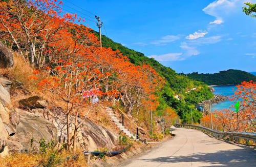 Tan Hiep House | Quỳnh s House