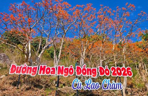 Tan Hiep House | Quỳnh s House