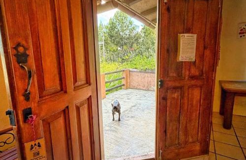 San Cristobal de las Casas Hotel | CORTIJO LA CASONA & Bungalow al Pie de la Montaña