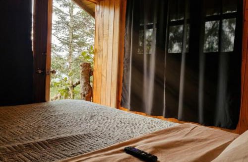 Mineral del Chico Apartment | Biciting La Pequeña Casa en el Árbol