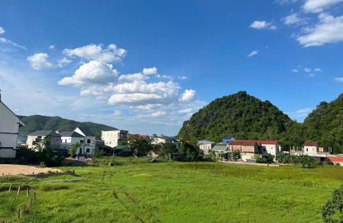 Phong Nha Hotel | An Binh Homestay