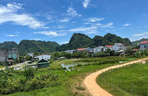 Phong Nha Hotel | An Binh Homestay