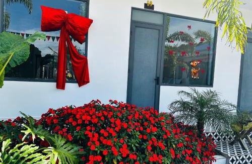 Lam Ha Bed & Breakfast | Mai Anh Đào Hotel