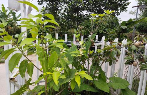 Hoa Lu Hotel | Heartfelt Cafe & Homestay