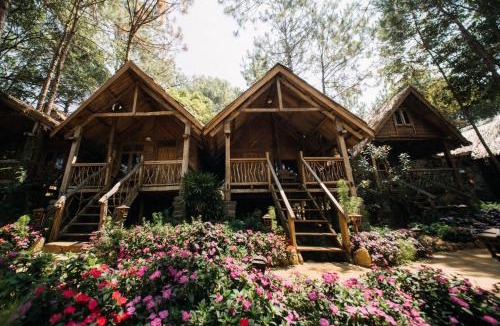 Kon Plong Hotel | Sóc House Măng Đen
