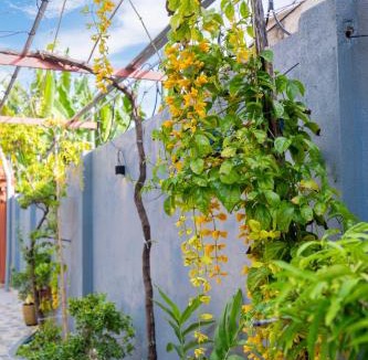 Vung Tau House | Linh Trà Garden House Vũng Tàu - Relax, BBQ Villa near Long Cung