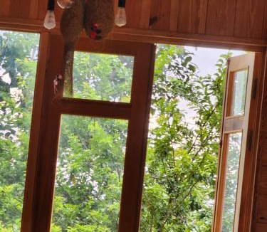 Da Lat Cabin | Coffee Myhome