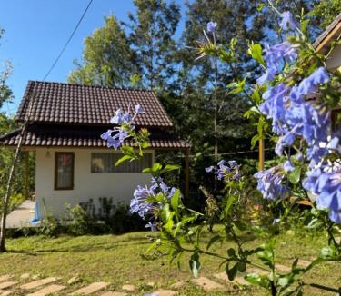 Lac Duong Ski Chalet | Đồi Lát Homestay