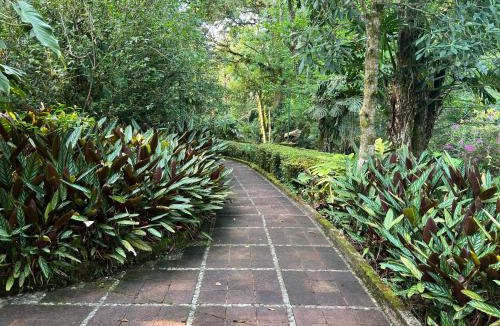 Xicotepec House | Villa Niebla Luxury Country Villa