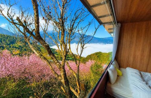 Bac Yen Hotel | Homestay 26 Cơ Sở 2 Tà Xùa