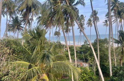 East Ham Tien Beach Hotel | La Mer Mũi Né Hotel