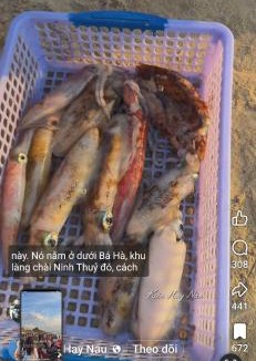 Ninh Hoa Apartment | Homestay Gia Đình Dốc Lết